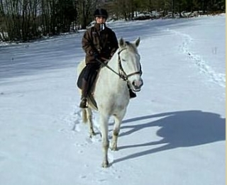 Randonee equestre fraiche